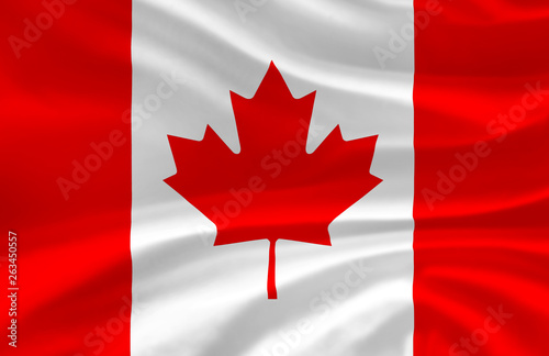 Canada waving flag illustration.