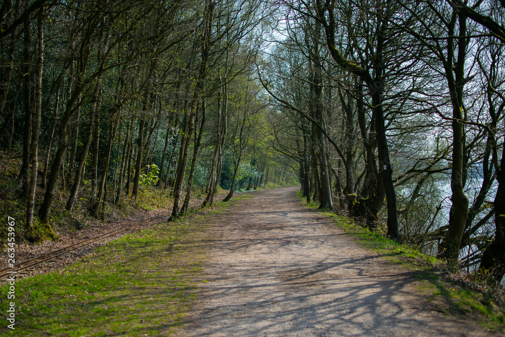Fototapeta premium Lakeside Path