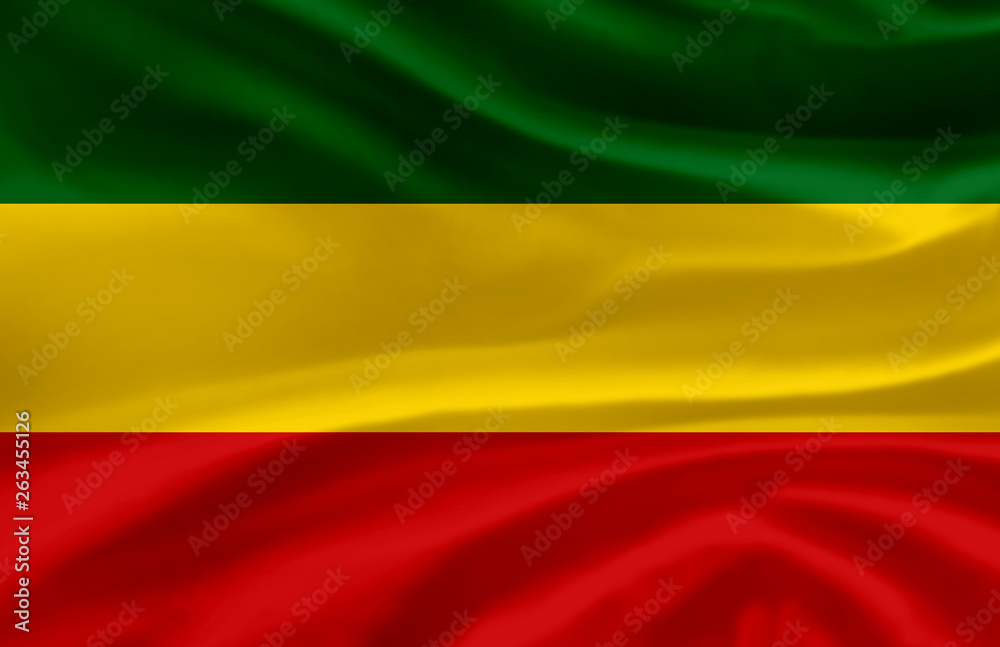 Naklejka premium Carchi waving flag illustration.