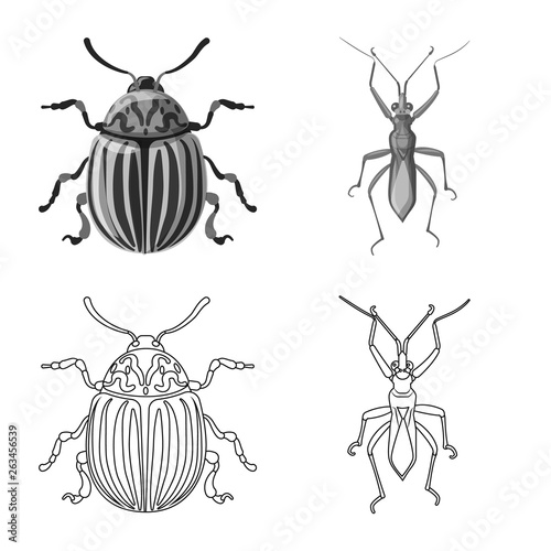 Vector illustration of insect and fly sign. Set of insect and element stock vector illustration. © Svitlana