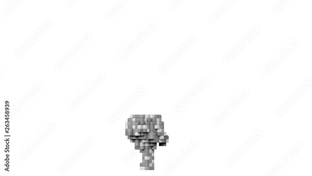 Cg animation of the explosion of monochrome cubes, bricks. Cg animation of the explosion of monochrome cubes, bricks.