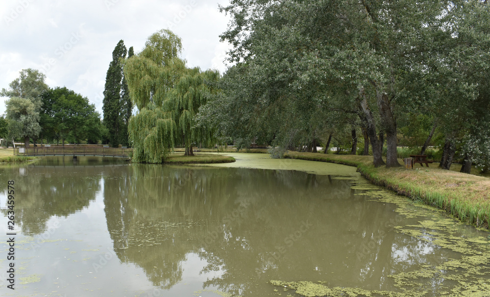 Naklejka premium Grands arbres pour ce magnifique parc à Vernou sur Brenne en Indre et Loire