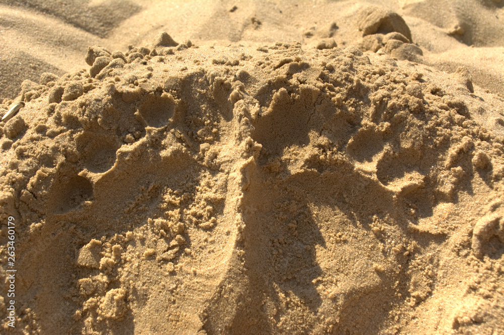 Obraz premium Fußabdrurck im Sand am Strand