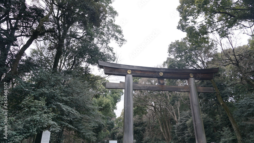 明治神宮の鳥居