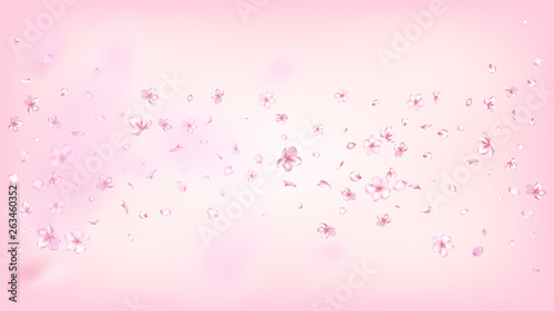 Nice Sakura Blossom Isolated Vector. Summer Flying 3d Petals Wedding Pattern. Japanese Gradient Flowers Illustration. Valentine  Mother s Day Spring Nice Sakura Blossom Isolated on Rose