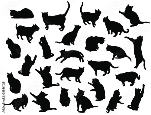 Set vector silhouettes of the cat, different poses, standing, jumping and sitting,  black color, isolated on white background