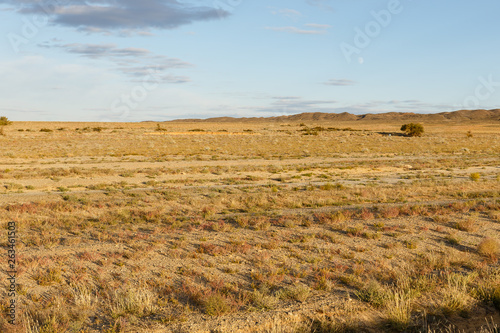 beautiful landscape of the gobi desert, mongolia