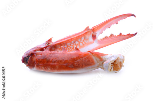 crab isolated on white background