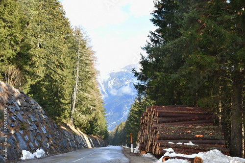 Pustertaler Höhenstraße, Winter, Wald, Holz, Hozstoß, geschlägert, Baum, Wald, Straße, Bergstraße, Lienz, Leisach, Osttirol, Lienzer Dolomiten, Tirol, Österreich, Hochstein, Baumstamm, Stämme, Licht,  photo