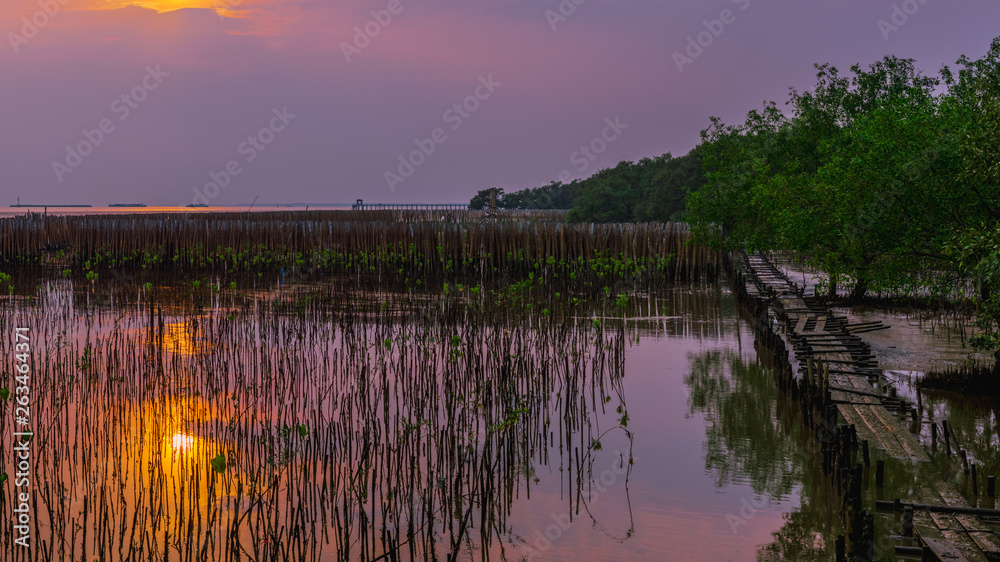 Tranquility landscape panoramic view. Beautiful sunset in peaceful scene with small mangrove planting along the shore to prevent flooding at Bangpu, Samut Prakan, Thailand.
