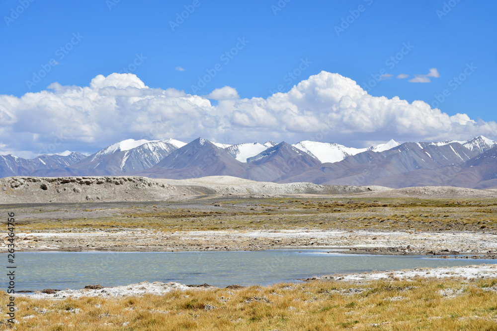 Strongly saline lake Ruldan (Nak) in Tibet, China