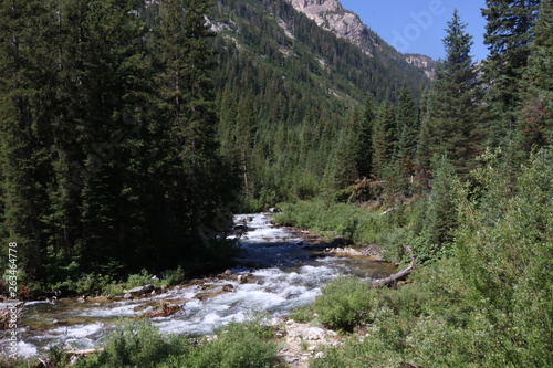Mountain Stream in the Grand Tetons