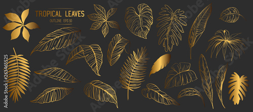 Set of tropical leaves. Hand drawn sketches traced in vector