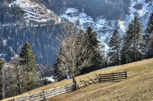 Osttirol, Lienzer Dolomiten, Winter, Frühling, Lienz, Pustertaler Höhenstraße, Stadel, Bauernhaus, Lost Place, Urban Exploring, Weide, Zaun, Weidezaun, Haus, Bauernhaus, Wirtschaftsgebäude, Holzhütte, photo