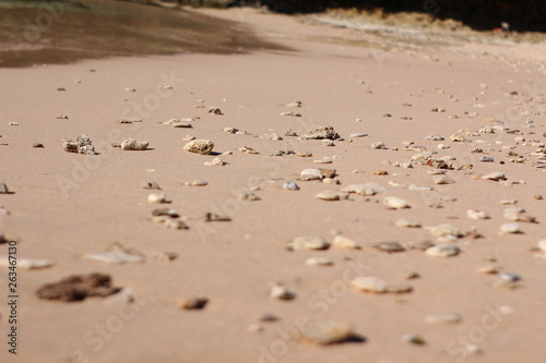 A small rock on a beach
