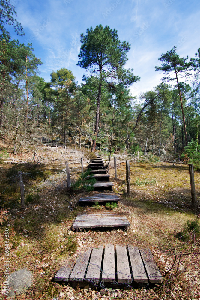 Wooden Outdoor Steps for erosion protection in Fontainebleau forest Wooden Outdoor Steps for erosion protection in Fontainebleau forest