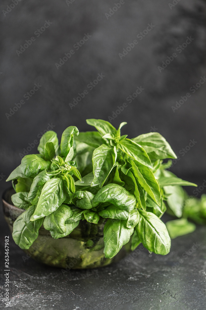 Fresh basil on a stone and dark background. Green basil. Food background. Basil plant for healthy cooking - obrazy, fototapety, plakaty 