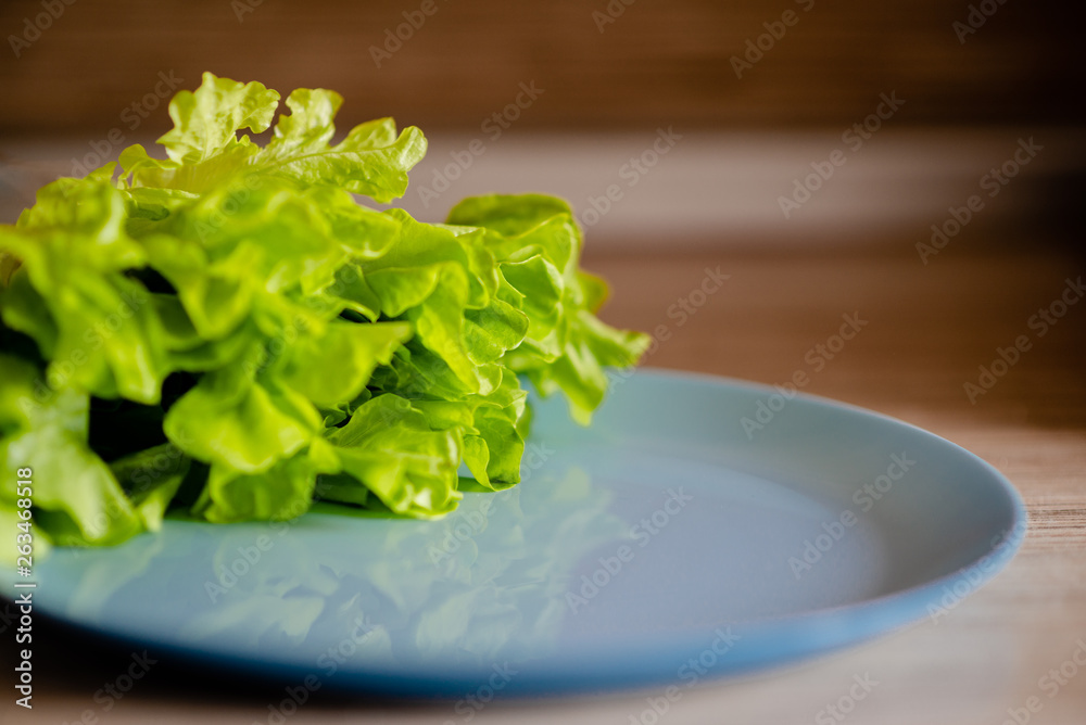 Fresh green lettuce leaves on a blue dish . Glettuce on a plate brown wooden table. Fresh green lettuce leaves on a blue dish . Glettuce on a plate brown wooden table.