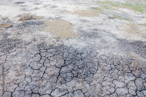 Vászonkép Cracked soil