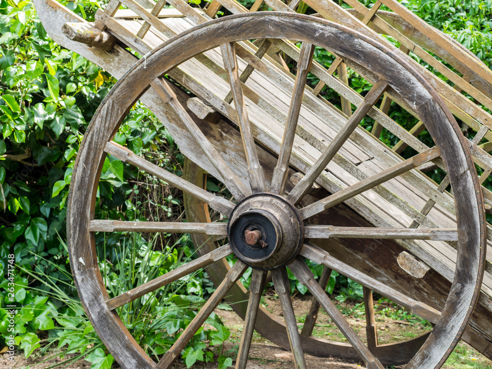 Wooden cart with big wheel