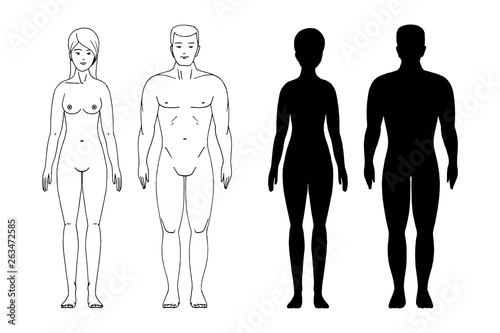 Male and female body shape. Silhouettes of adult on white background Stock  Vector | Adobe Stock