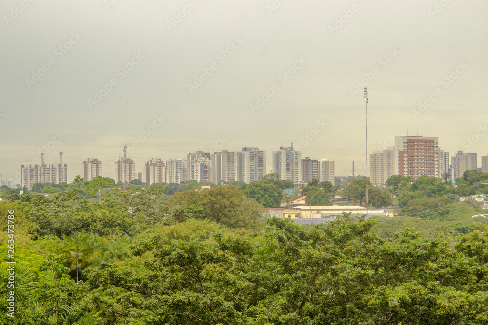 Fototapeta premium city ​​of Manaus