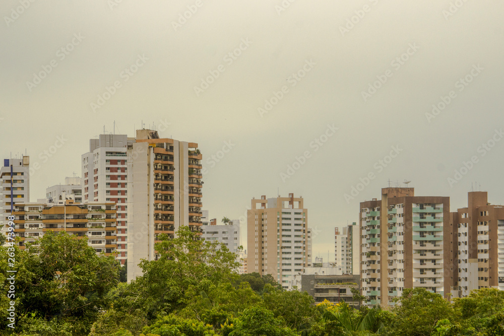 Obraz premium city ​​of Manaus