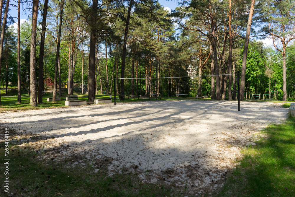 Volleyball court in a pine forest