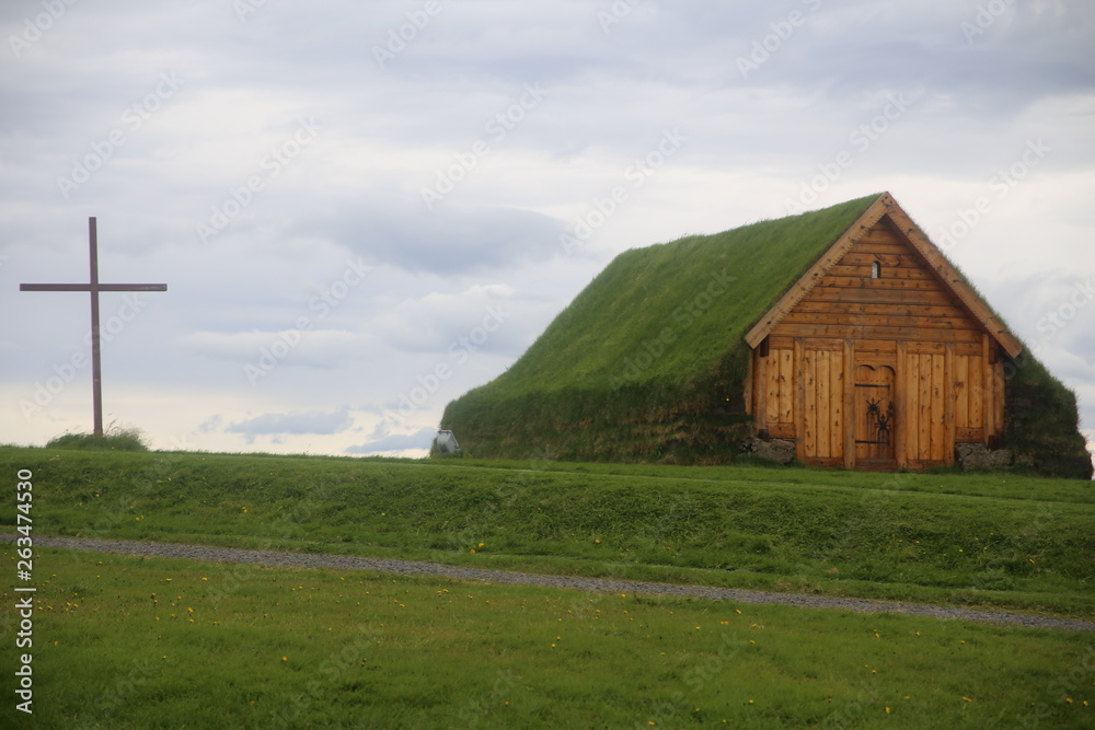grass roof house grass roof house