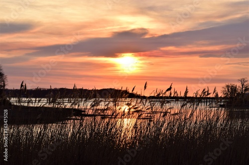 Harbor Sunset