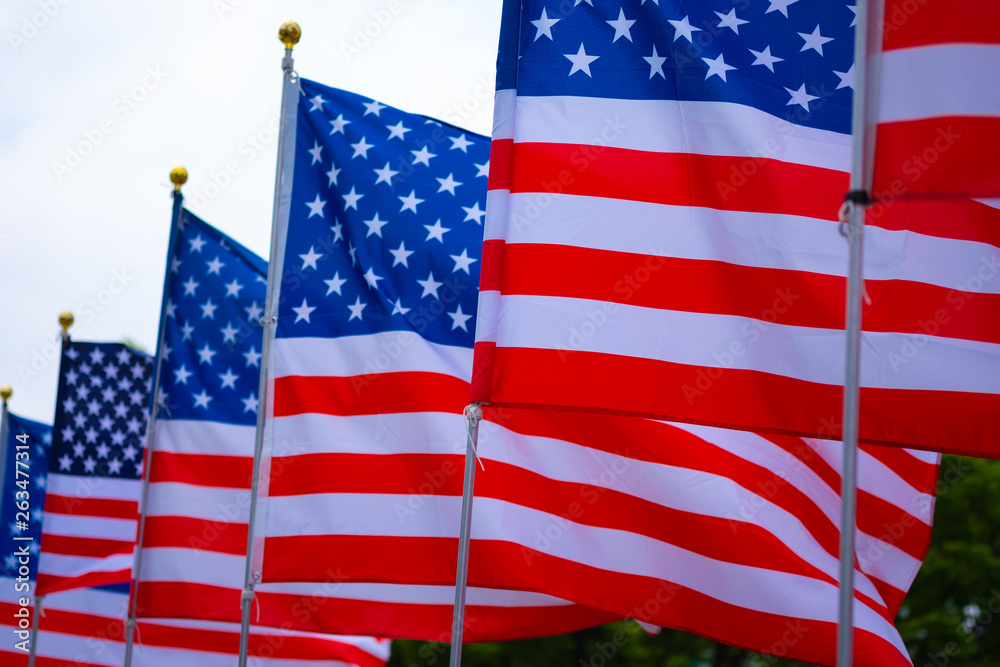 Fototapeta premium Wavy of United Stated of America flag with white background.-Image.