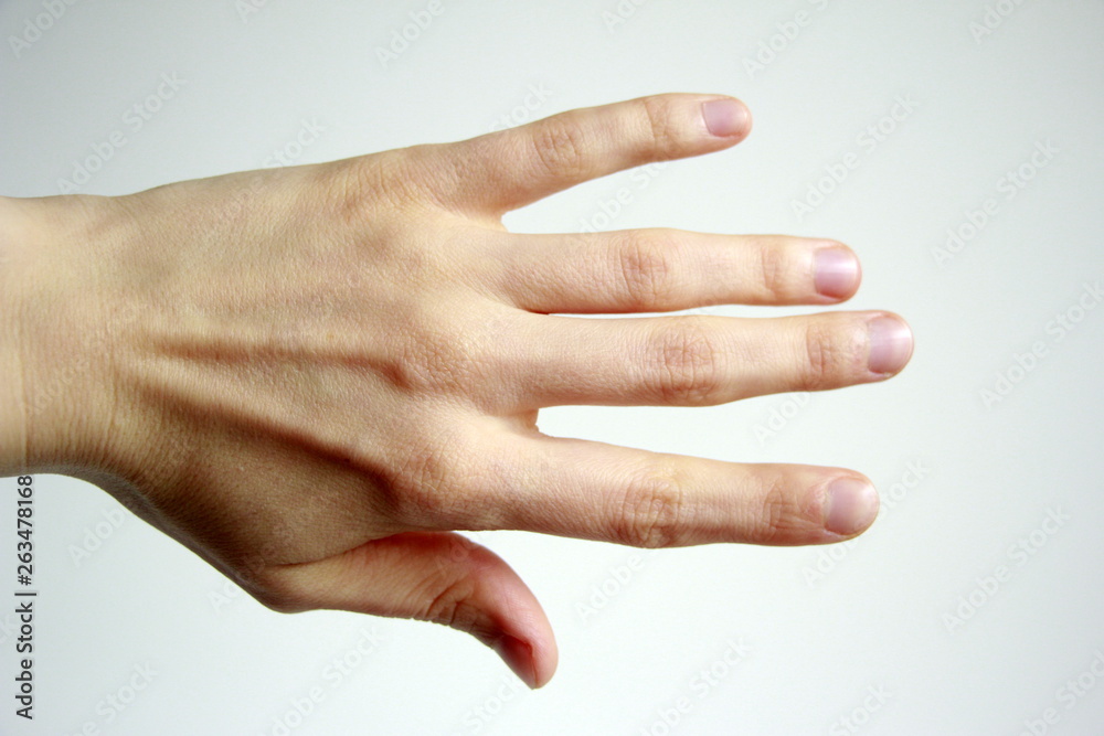 hands isolated on white background hands isolated on white background