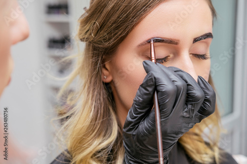 Brow and make up artist shaping and coloring eyebrows of her woman client in salon. Procedure in process. Space for text