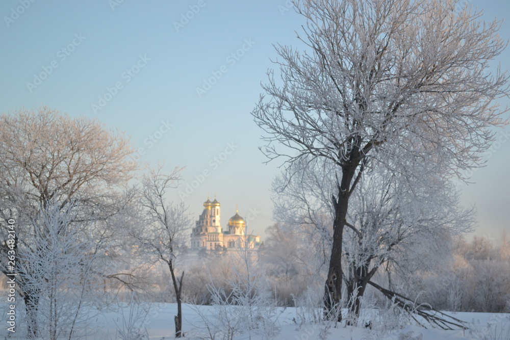 winter landscape with trees and blue sky winter landscape with trees and blue sky