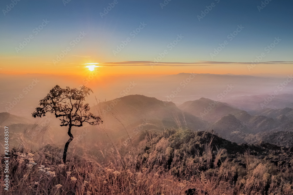 Mountain view misty morning of top hills around with the soft fog with yellow sun light in the sky background, sunrise at top of Doi Ang Khang, Chiang Mai, northern of Thailand.