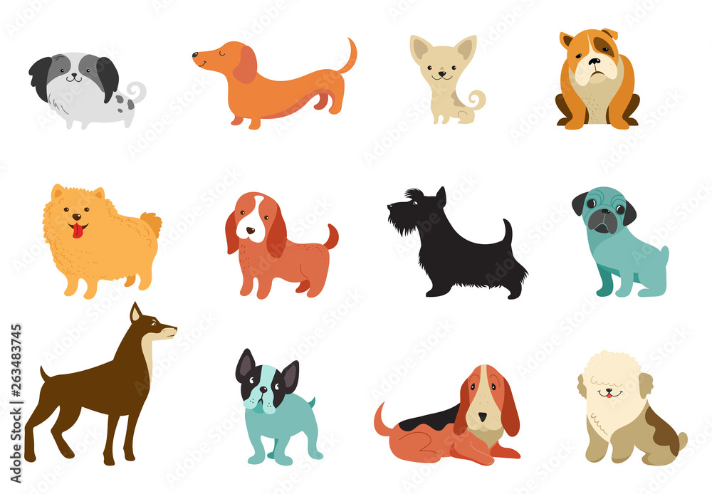 Fototapeta premium Dogs - collection of vector illustrations. Funny cartoons, different dog breeds, flat style