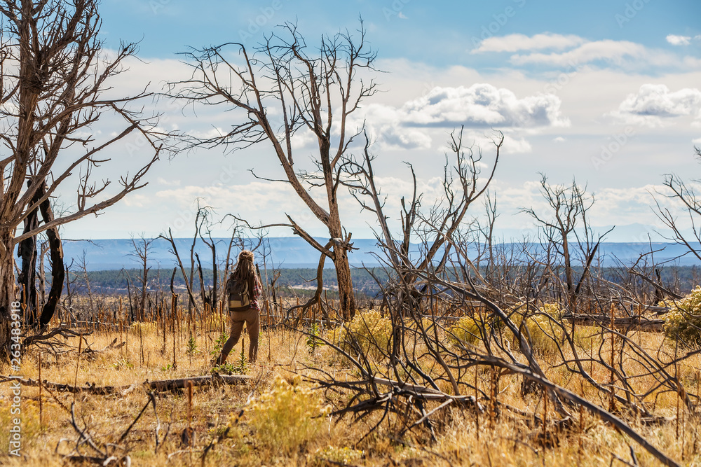 Fototapeta premium Woman in dead tree forest