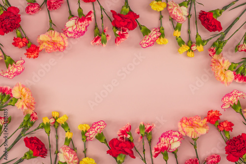 Pink background with carnations flowers and copy space. Top view. Mother's Day background.