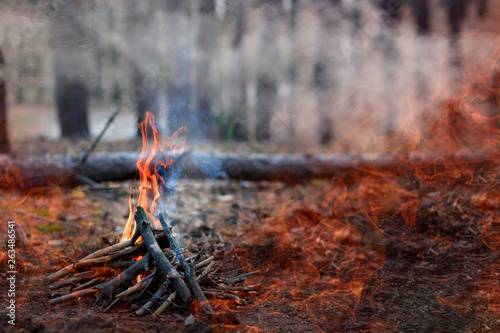 Forest fire. fallen tree is burned to the ground a lot of smoke when vildfire. Space for text