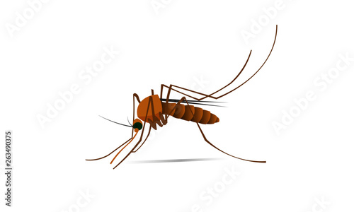ant on white background