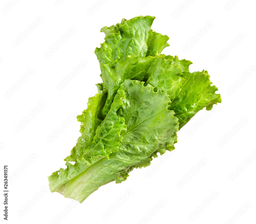 Fresh green lettuce salad isolated on white background. Top view. With clipping path Fresh green lettuce salad isolated on white background. Top view. With clipping path