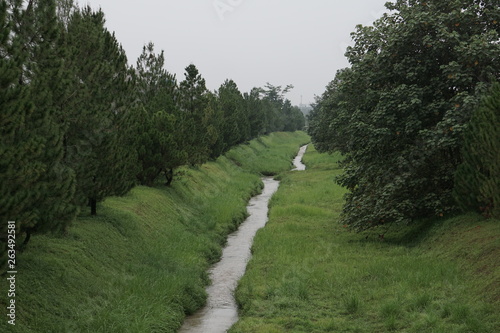 Small River in the Middle of Green Grass and Trees