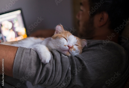 Cute smiling happy cat lying on the man's shoulder while he is working on computer.
