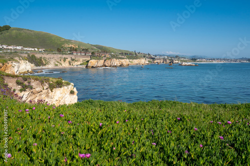 Scenic cityscape coastal view from bluffs at Dinosaur Caves Park in Pismo Beach, California © MelissaMN