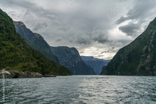 steep coast in the mountains at milford sound  fjordland  new zealand 23