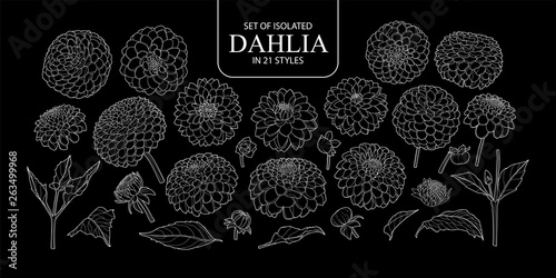 Set of isolated Dahlia in 21 styles.