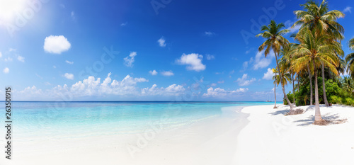 Weites Panorama eines tropischen Strandes mit t  rkisem Meer  Palmen und feinem Sand auf den Malediven