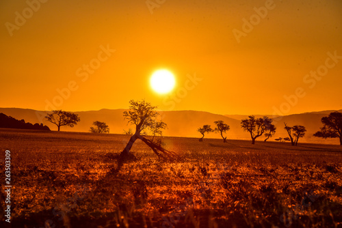 Sonnenuntergang in der Namib Naukluft Wüste in Namibia
