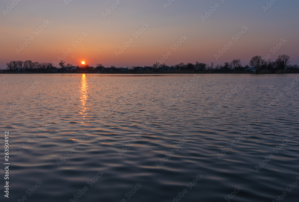 Naklejka premium beautiful landscapes of nature with forest and lak