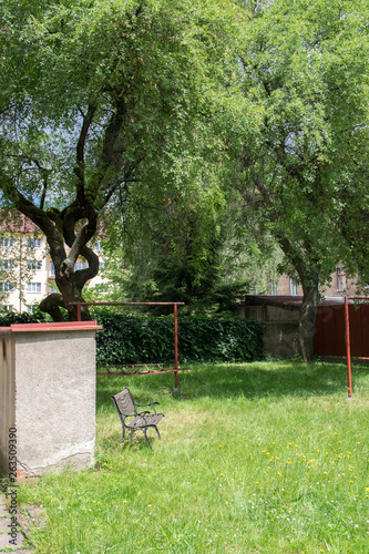 Romantic corner in wild garden, beautiful early summer greenery, thick grass, wild green lawn in sunlight photo